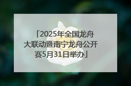 2025年全国龙舟大联动暨南宁龙舟公开赛5月31日举办