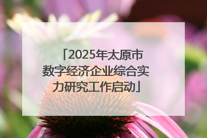 2025年太原市数字经济企业综合实力研究工作启动