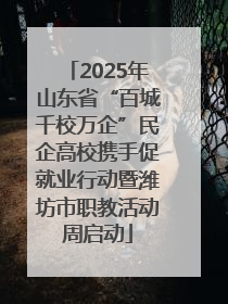 2025年山东省“百城千校万企”民企高校携手促就业行动暨潍坊市职教活动周启动