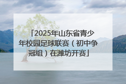 2025年山东省青少年校园足球联赛（初中争冠组）在潍坊开赛