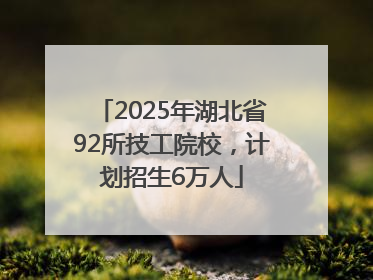 2025年湖北省92所技工院校，计划招生6万人