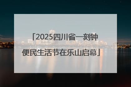 2025四川省一刻钟便民生活节在乐山启幕