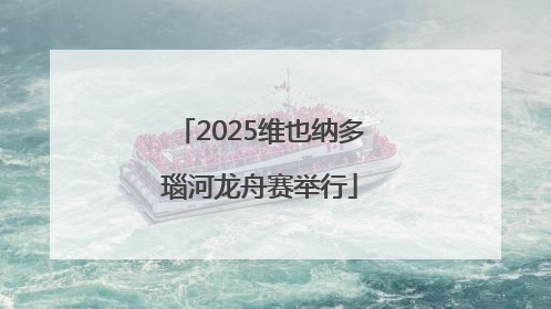 2025维也纳多瑙河龙舟赛举行
