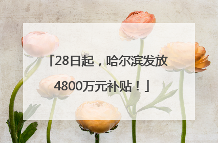 28日起，哈尔滨发放4800万元补贴！