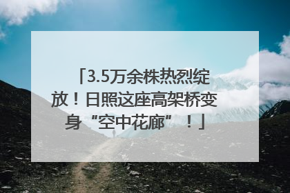 3.5万余株热烈绽放！日照这座高架桥变身“空中花廊”！