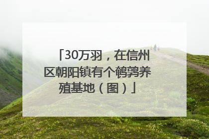30万羽，在信州区朝阳镇有个鹌鹑养殖基地（图）
