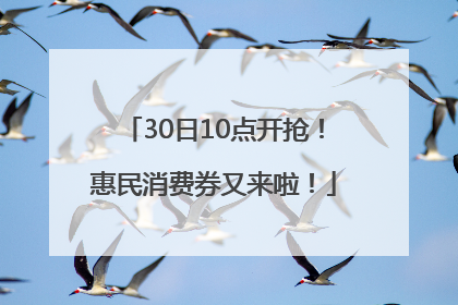 30日10点开抢！惠民消费券又来啦！