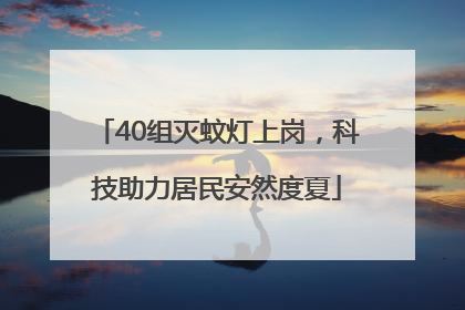 40组灭蚊灯上岗，科技助力居民安然度夏