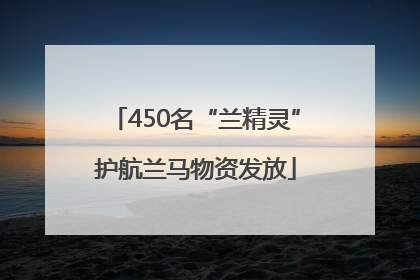 450名“兰精灵”护航兰马物资发放