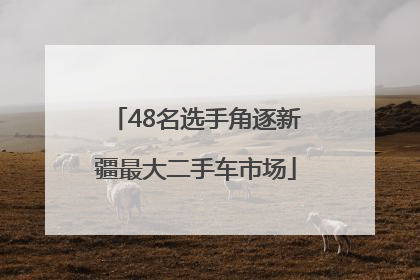 48名选手角逐新疆最大二手车市场