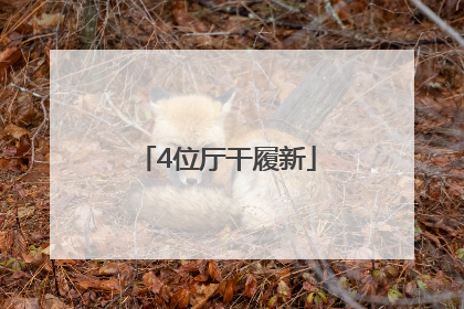 4位厅干履新