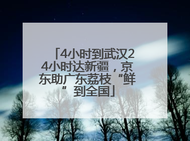 4小时到武汉24小时达新疆，京东助广东荔枝“鲜”到全国