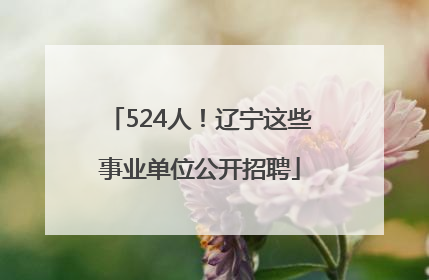 524人！辽宁这些事业单位公开招聘