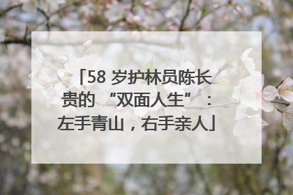 58 岁护林员陈长贵的 “双面人生”：左手青山，右手亲人