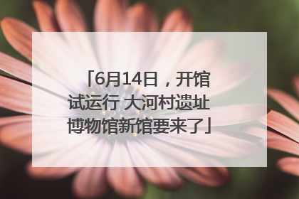 6月14日，开馆试运行 大河村遗址博物馆新馆要来了