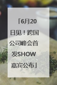 6月20日见！跨国公司峰会首发SHOW嘉宾公布