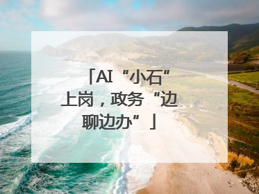 AI“小石”上岗，政务“边聊边办”