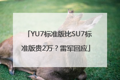 YU7标准版比SU7标准版贵2万？雷军回应